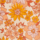 Colour Orange selected