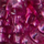 Colour Pink selected
