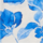 Colour Blue