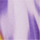 Colour Purple selected