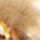 Farbe Gold ausgewählt