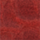 Couleur Corail