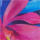 Couleur Fuchsia sélectionnée