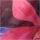Farge Fuchsia valgt
