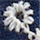 Colour Navy selected