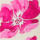Color Fucsia seleccionado