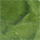 Colour Green