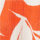 Colour Orange