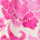 Colour Pink selected
