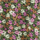 Color Rosa