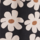 Colour Black selected