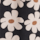 Color Black selected