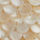 Colour Ivory White selected