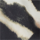 Color Black selected