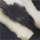 Color Black selected