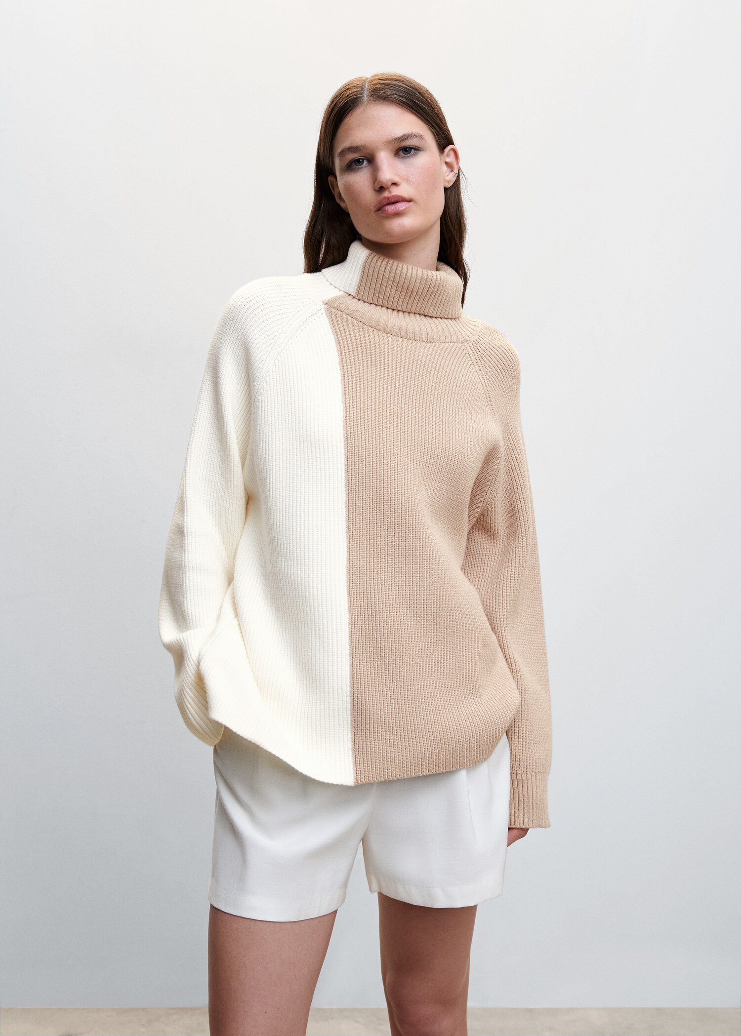 Jersey cuello vuelto bicolor - Plano medio