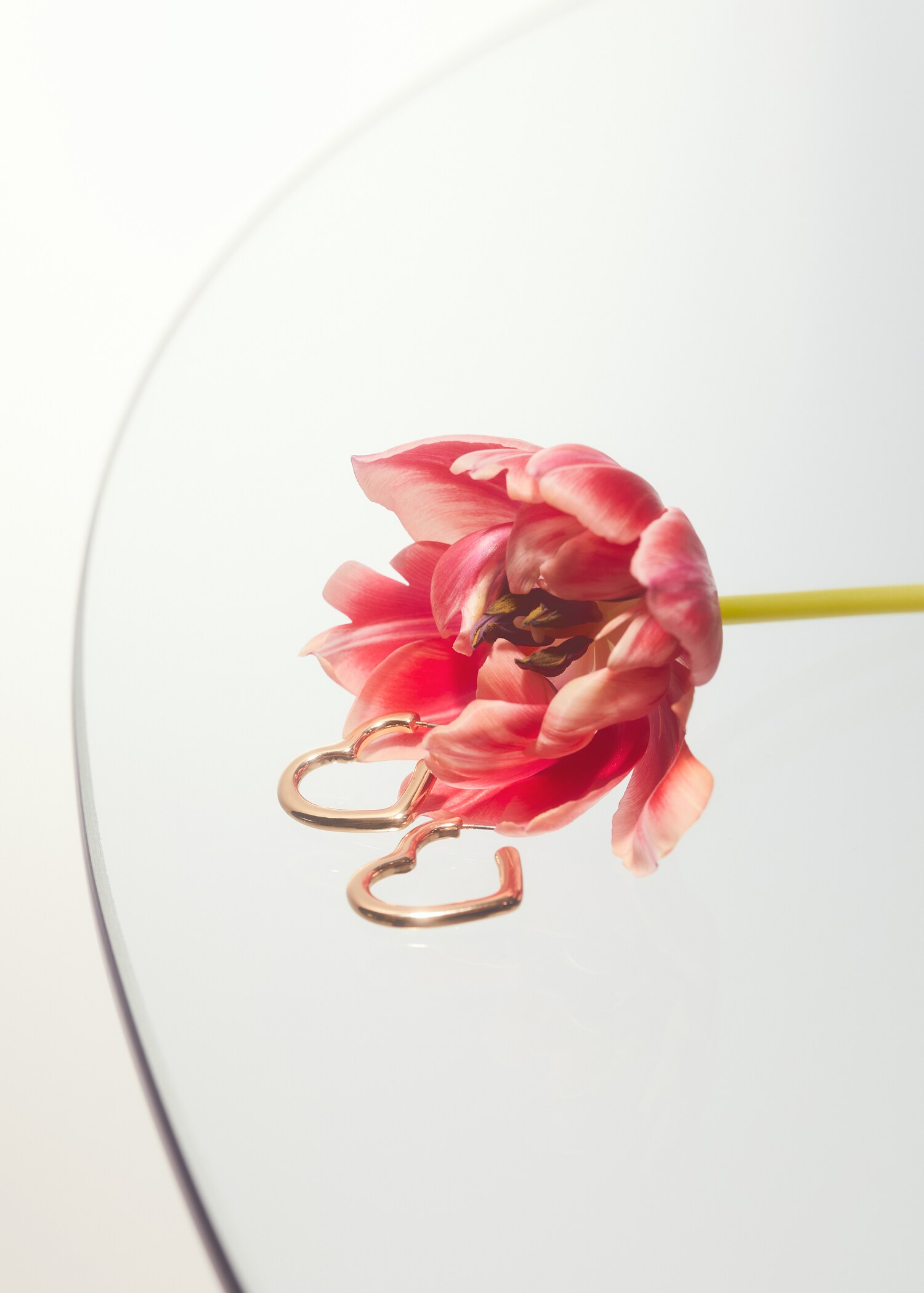 Heart-shape earrings - Details of the article 7