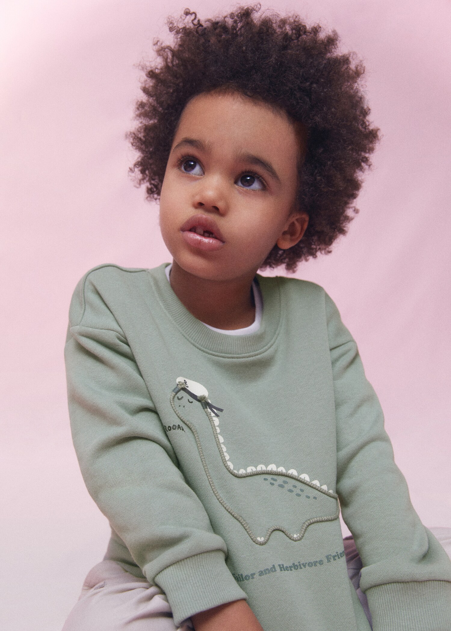 Embroidered detail cotton sweatshirt - Details of the article 5