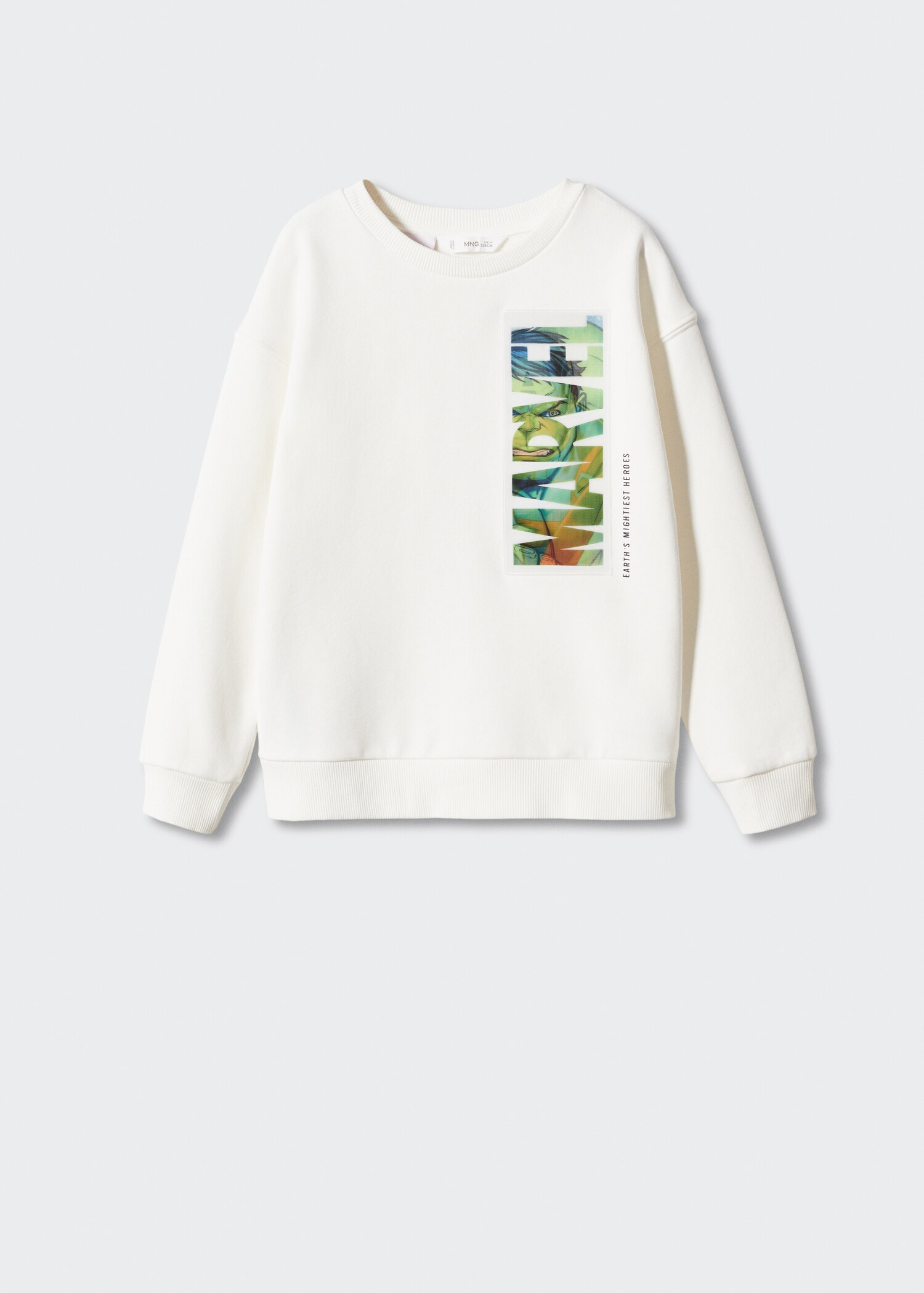 Hulk sweatshirt - Article without model