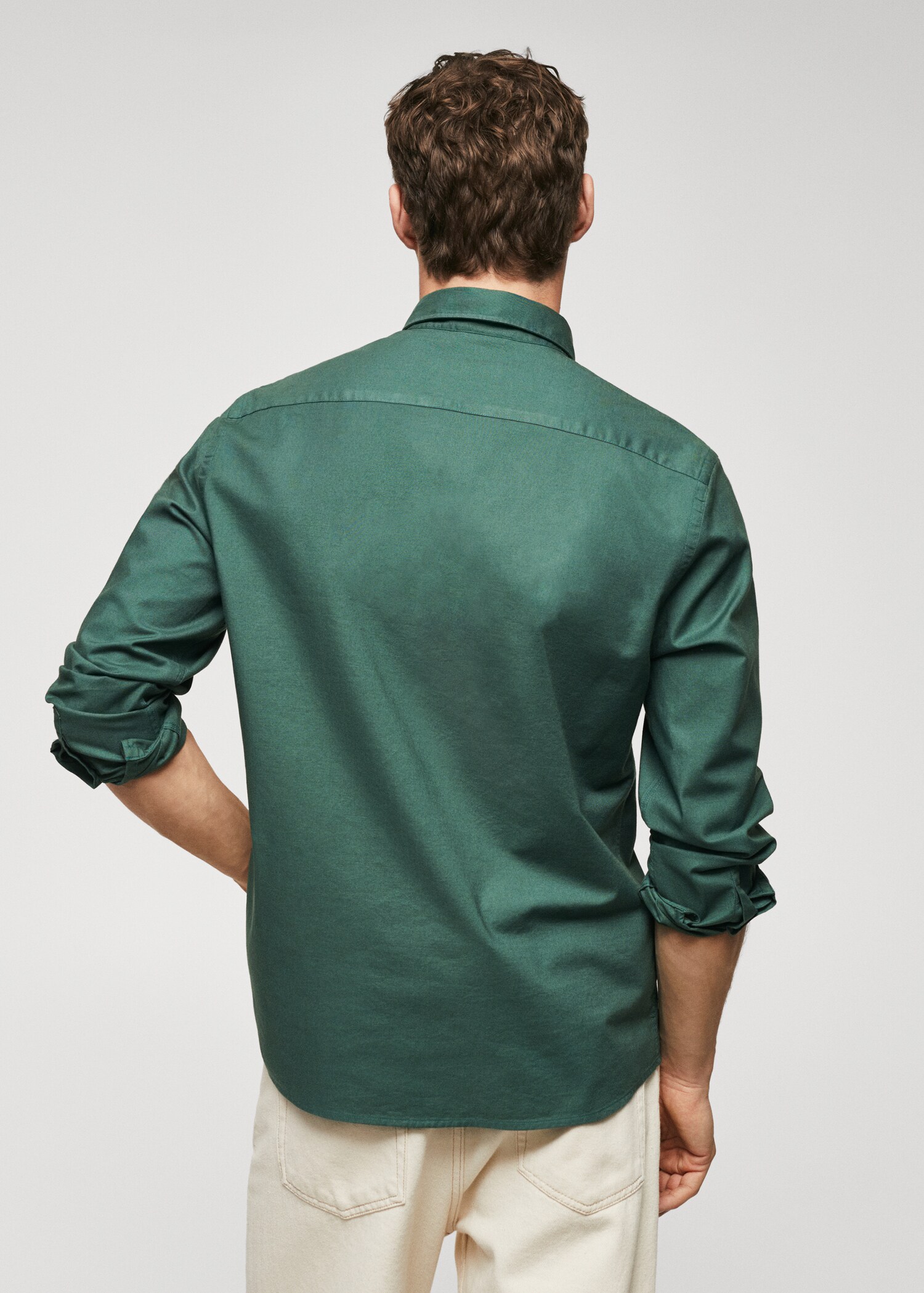 Regular fit Oxford cotton shirt - Reverse of the article