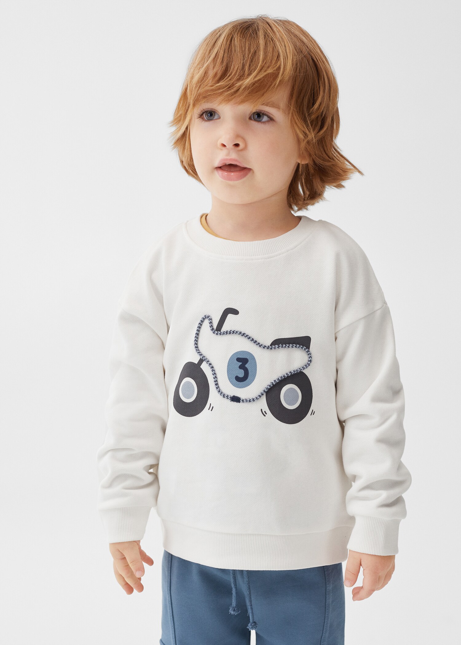 Printed cotton sweatshirt - Medium plane
