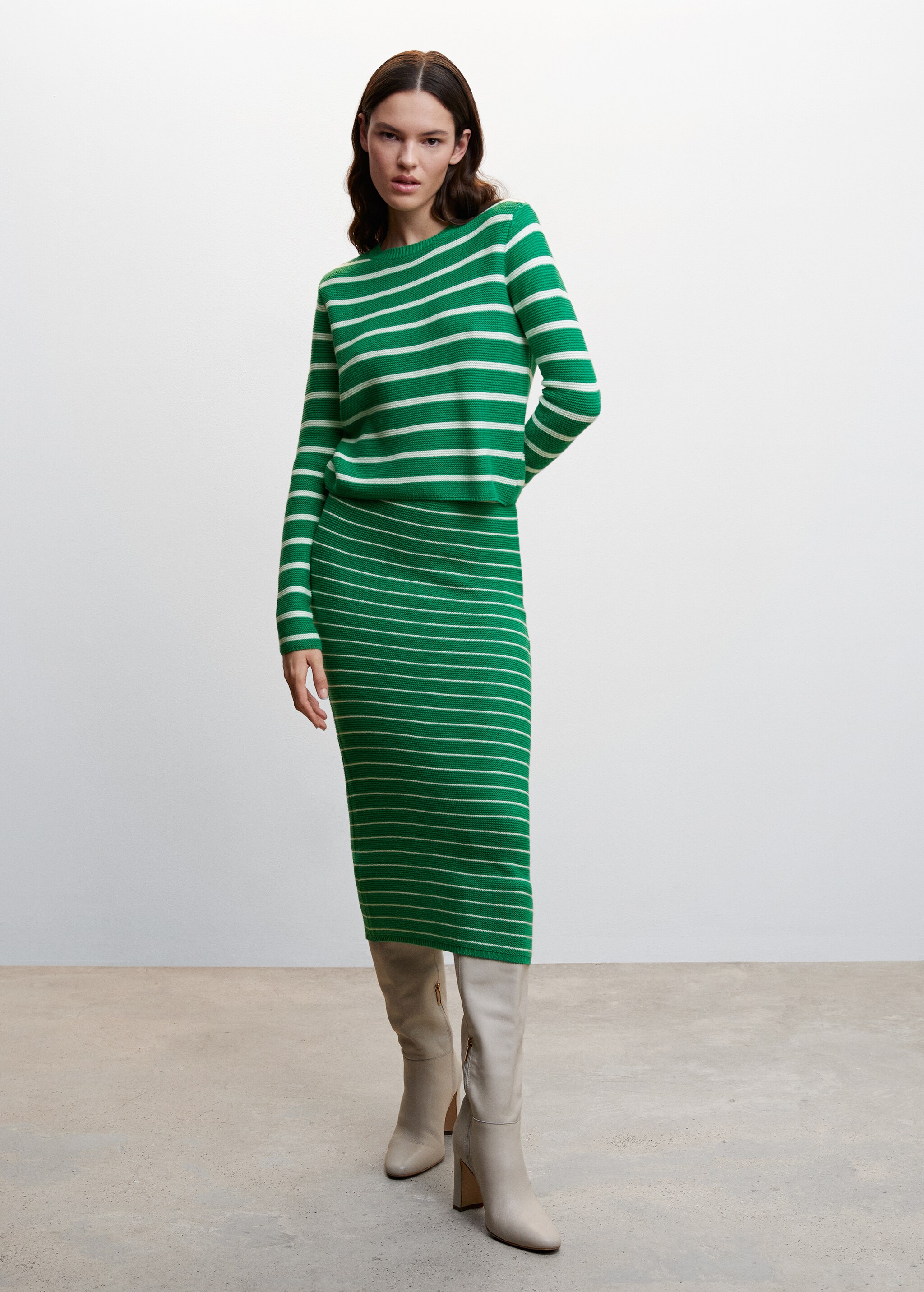 Striped knitted skirt - General plane