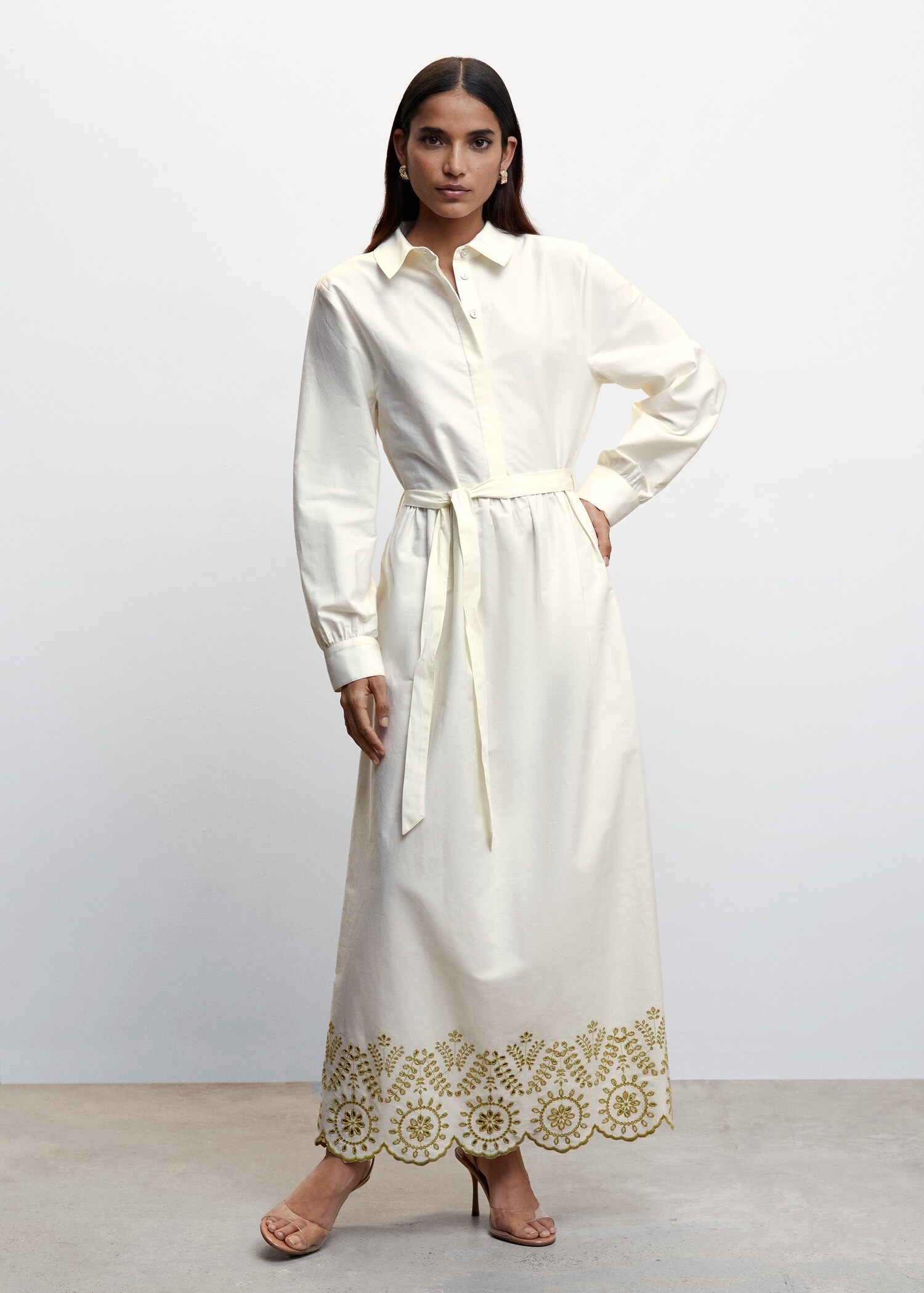 Long shirt dress - General plane