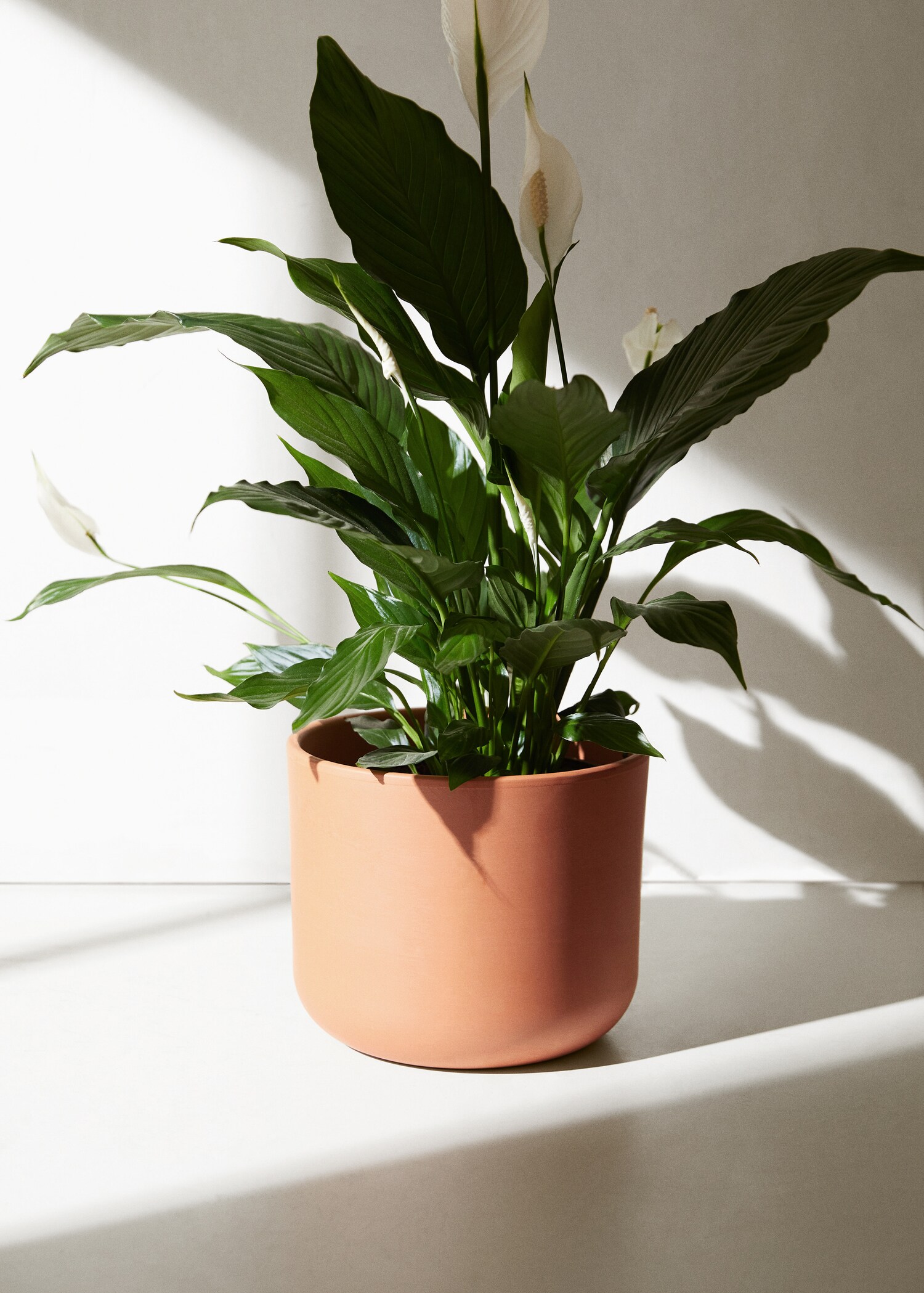 Runder Blumentopf 21 cm - Allgemeine Ansicht