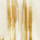Colour Gold selected