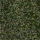 Color Verde seleccionado