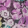 Colour Lilac selected