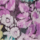 Colour Lilac selected