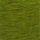 Colour Green