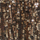 Colour Gold selected