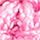 Colour Pink selected