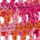 Colour Fuchsia selected