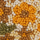 Couleur Jaune sélectionnée