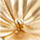 Colour Gold selected