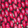 Color Rojo seleccionado