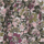 Color Khaki selected
