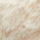Couleur Écru sélectionnée