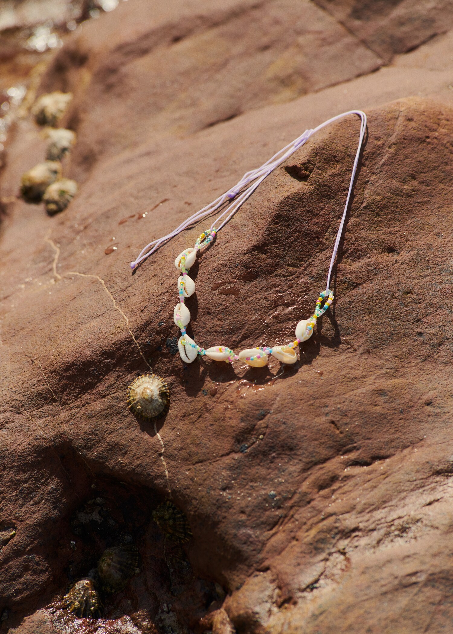 Shells necklace - Details of the article 5