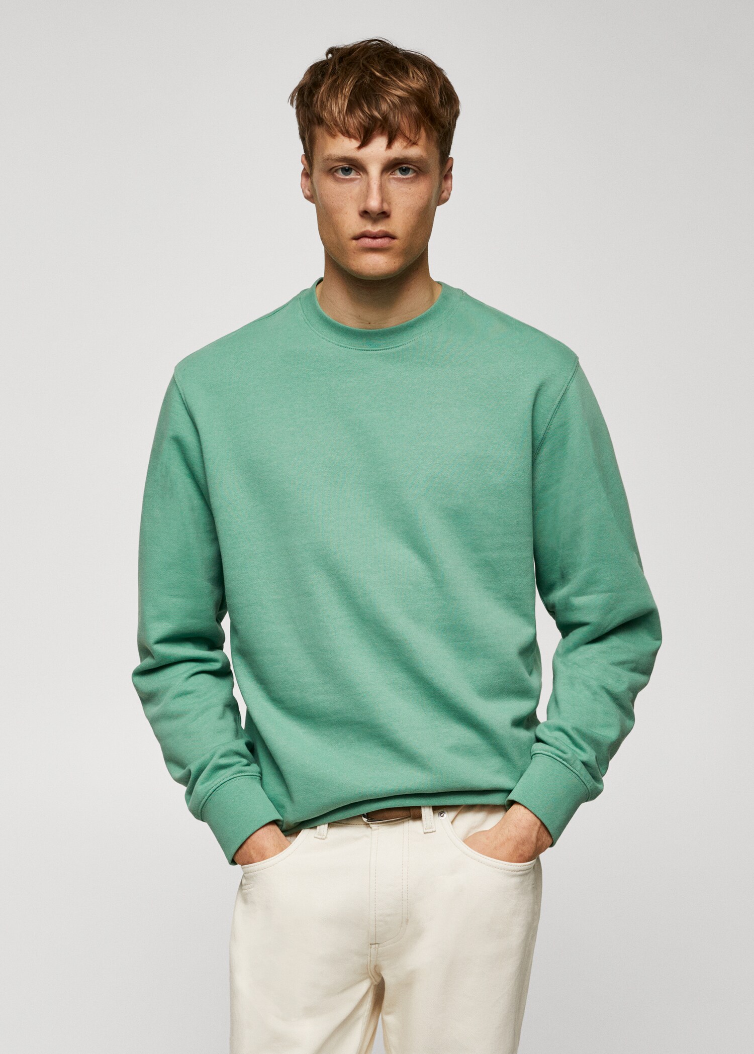 100% cotton basic sweatshirt  - Medium plane