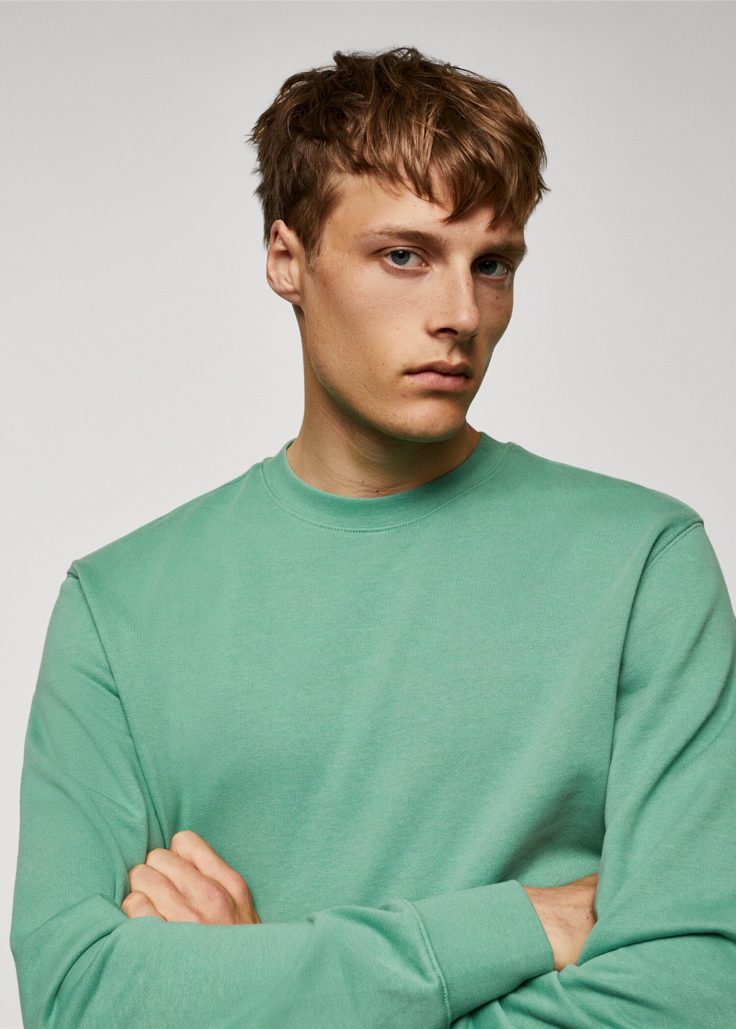 100% cotton basic sweatshirt  - Details of the article 1