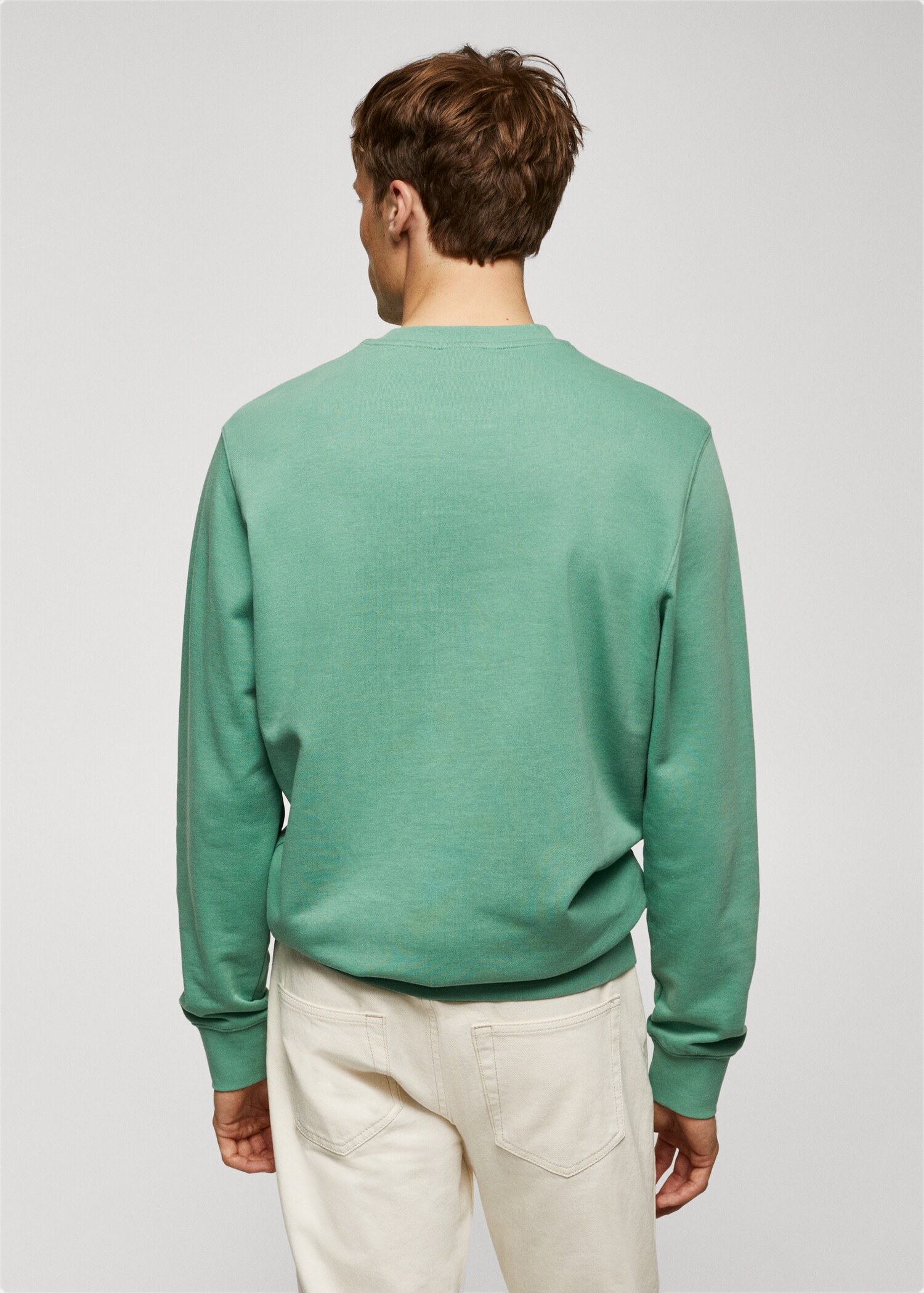 100% cotton basic sweatshirt  - Reverse of the article