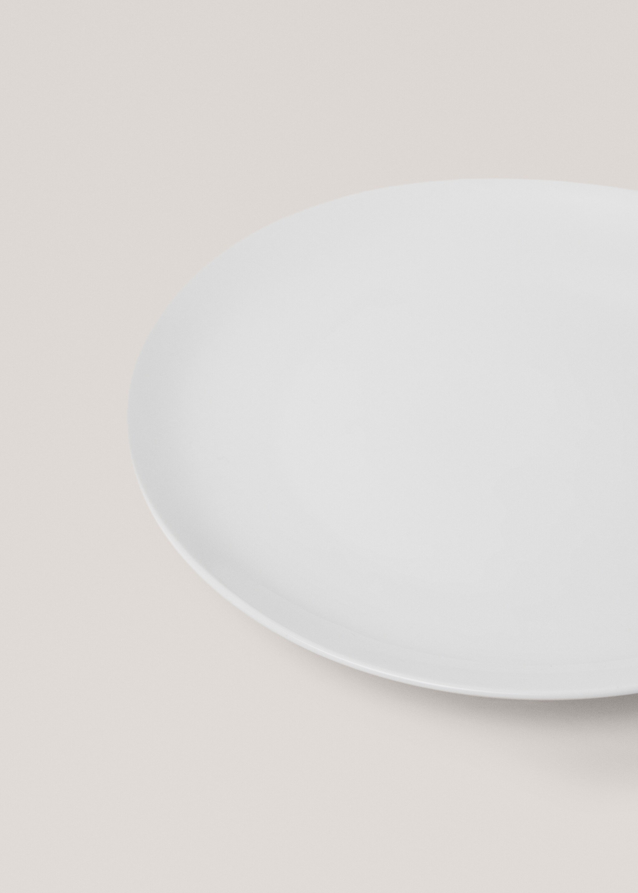 Bone china porcelain flat plate - Details of the article 2