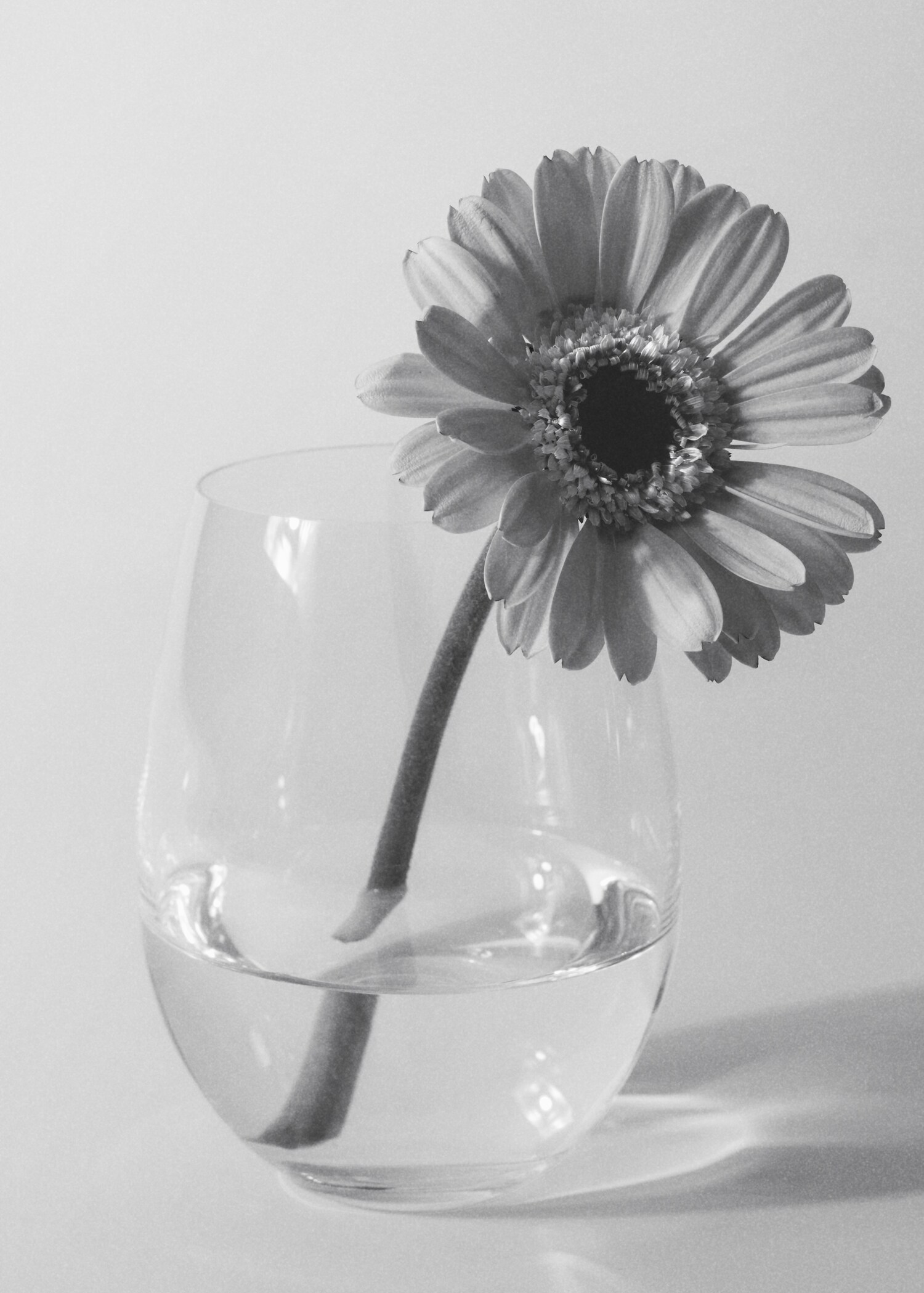 Ovales Glas - Detail des Artikels 6