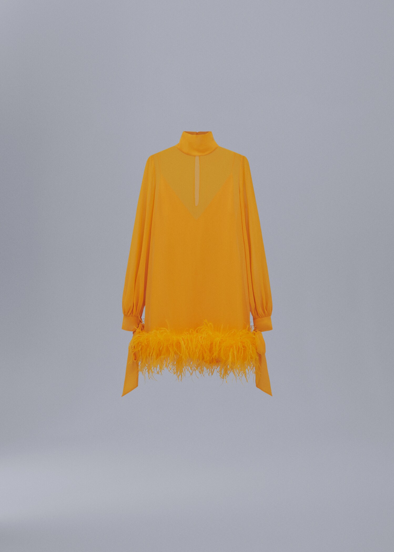 Vestido semitransparente plumas - Artículo sin modelo