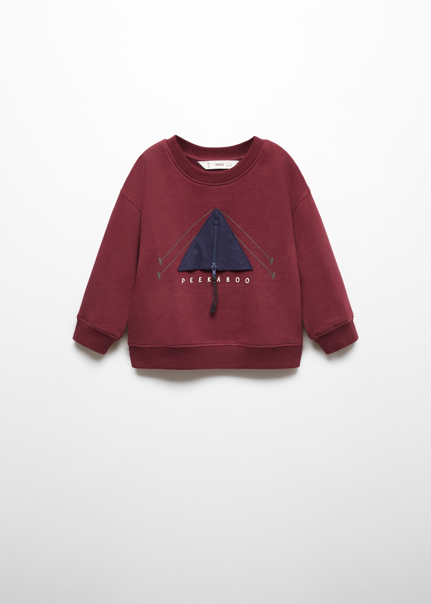 Printed picture sweatshirt - Article without model