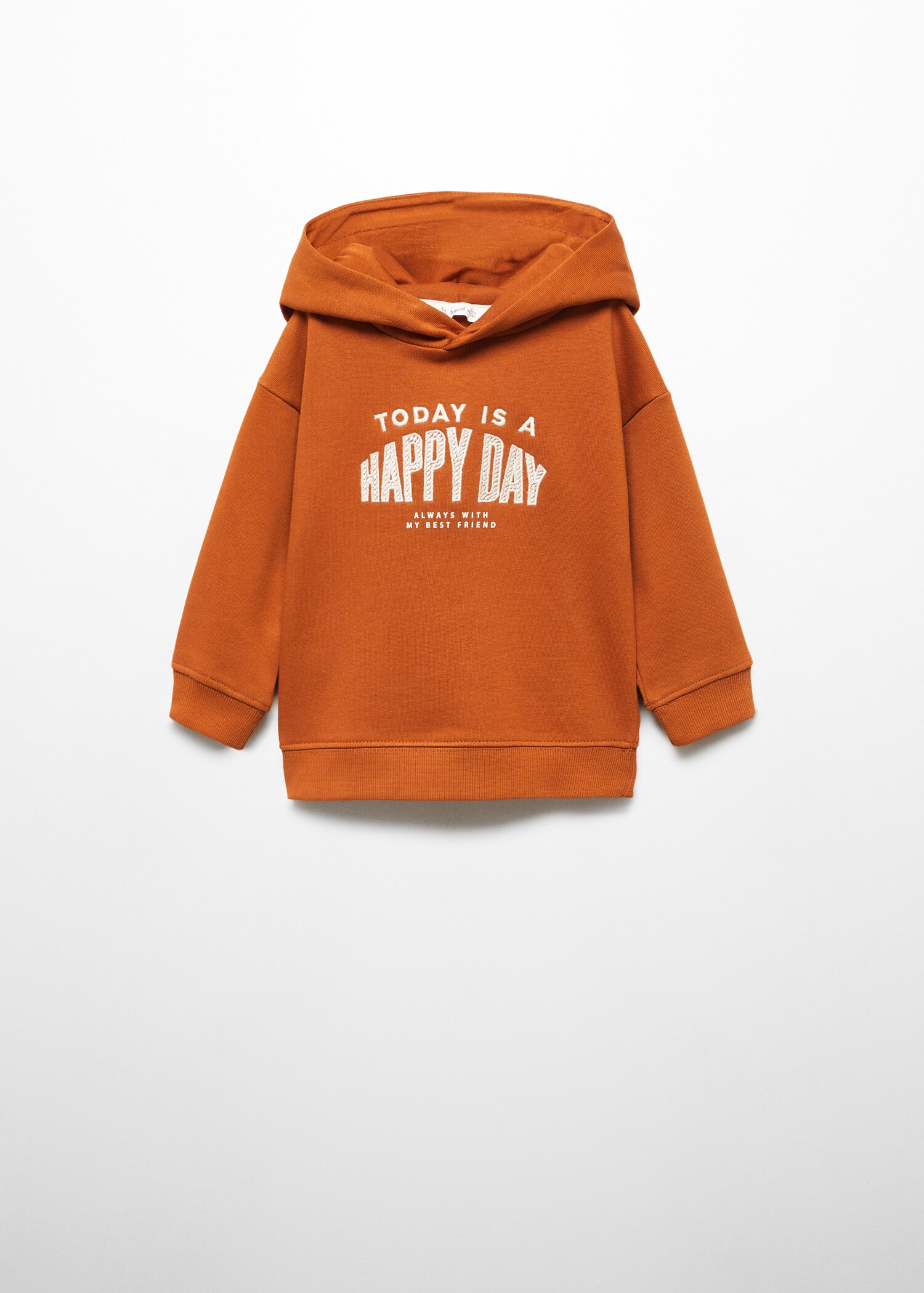 Sudadera capucha bordado - Artículo sin modelo